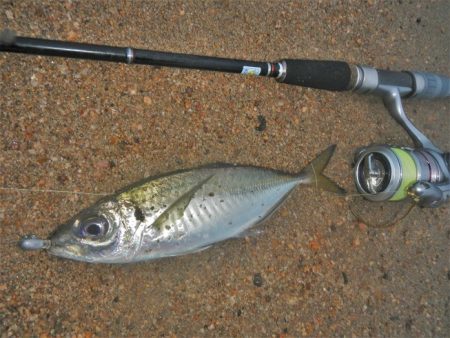イマイチな感じ