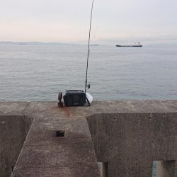 太刀魚狩りじゃ