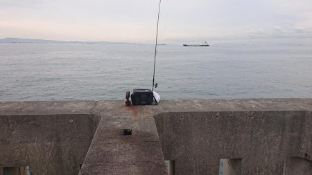 太刀魚狩りじゃ