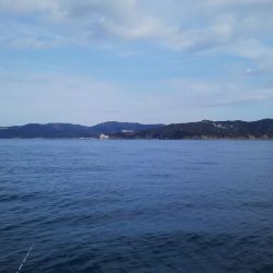 カワハギは終盤?