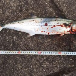 冬の天気は変わりやすいですね