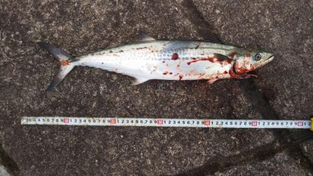 冬の天気は変わりやすいですね