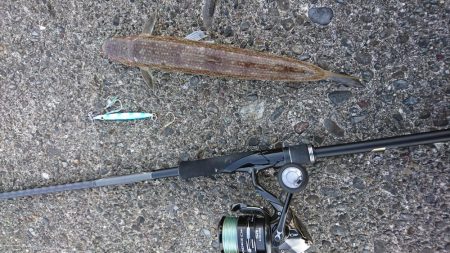 ライトショアジギング