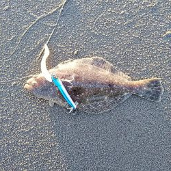 ソゲしか釣れない