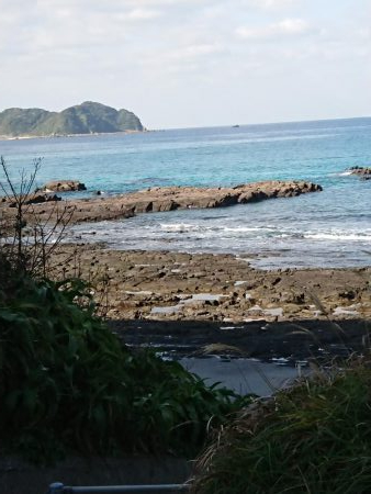 エギング&アジング