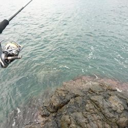 アジのナブラにつっこんでみた