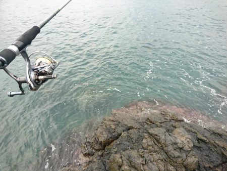 アジのナブラにつっこんでみた