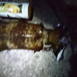 久しぶりのキロアップ