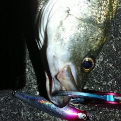 朝練下げ止まり前に何とか一本