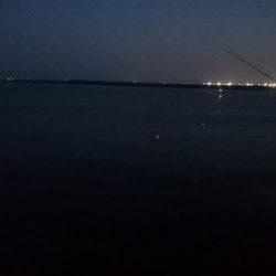 タチウオ釣りとことん行く