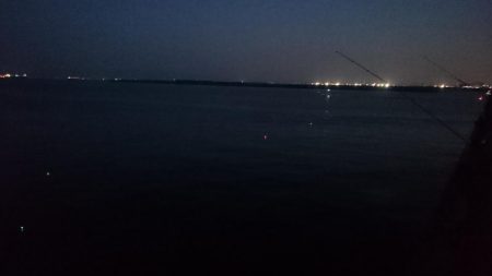 タチウオ釣りとことん行く