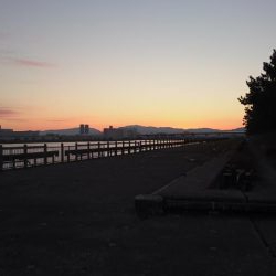 泉大津エリアで貴重なタチウオ