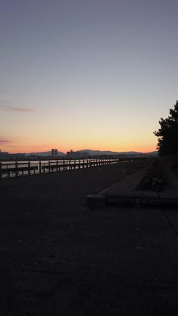 泉大津エリアで貴重なタチウオ