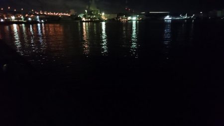 最湾奥タチウオ最終調査