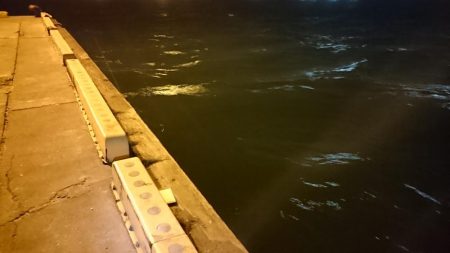 強風、南港タチウオ調査