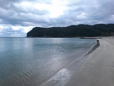 三重ヒラメ調査