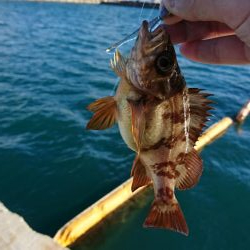 ライト・ワインド