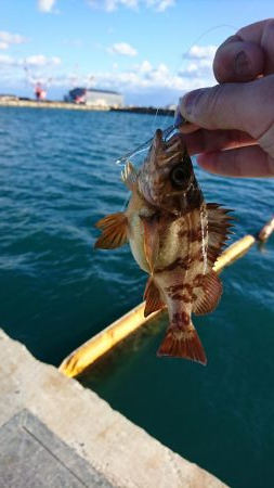 ライト・ワインド