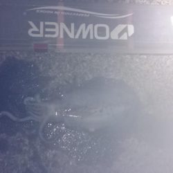 当たりが少なくしぶい日でした。