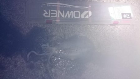 当たりが少なくしぶい日でした。