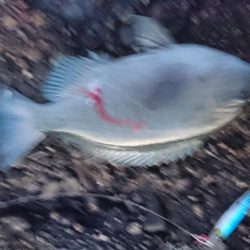 諦めかけたその時！2