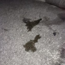 諦めかけたその時!3