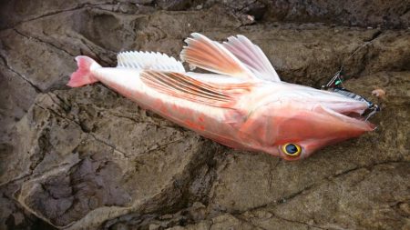 予想外の一撃！