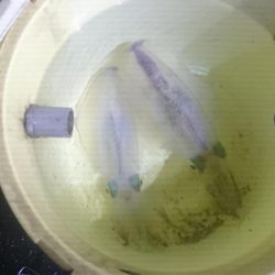 寒いけど行ってきました。