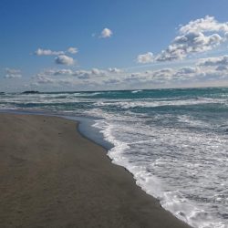 でかキスを求めて