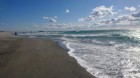 でかキスを求めて