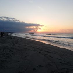 まだまだキスいます