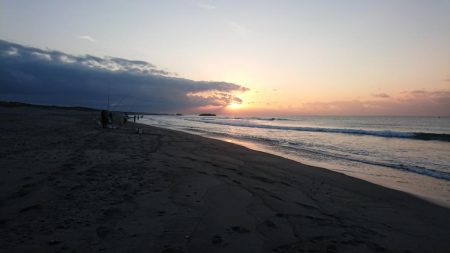 まだまだキスいます