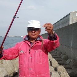 東二見水道で落ちギス釣り