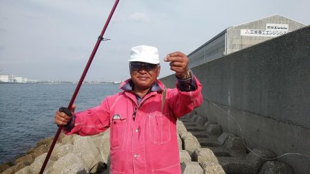 東二見水道で落ちギス釣り