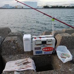 東二見水道でキス釣り