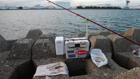 東二見水道でキス釣り