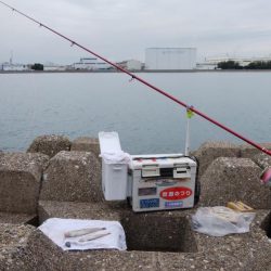 東二見水道へ落ちギス釣査