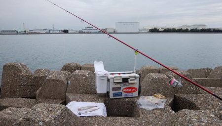 東二見水道へ落ちギス釣査