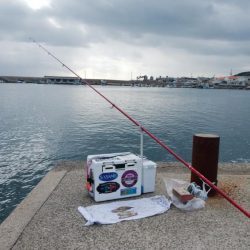 浦港でキス釣り