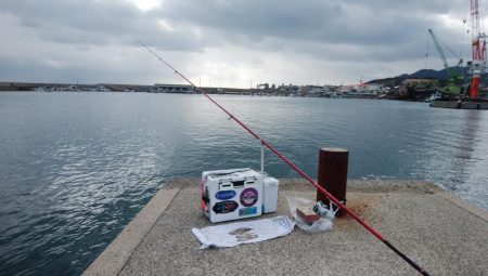 浦港でキス釣り
