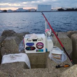 播磨新島・東二見水道共にキスが居ません