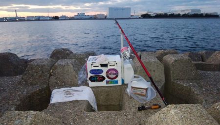 播磨新島・東二見水道共にキスが居ません