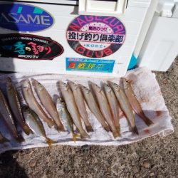 播磨新島へシーズンラスト釣行(・・?