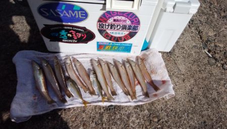 播磨新島へシーズンラスト釣行(・・?