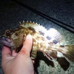 今年の釣り納め