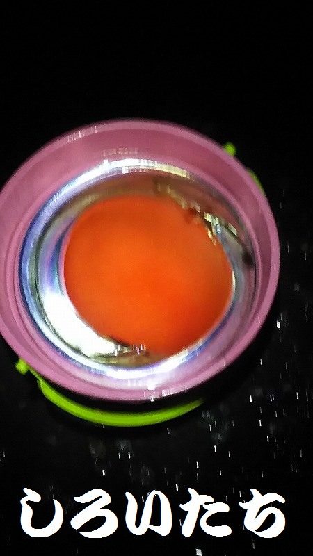 タチウオ釣ってきた！