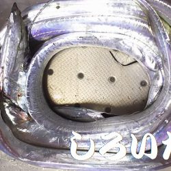 １２月タチウオ狙いに行きました。