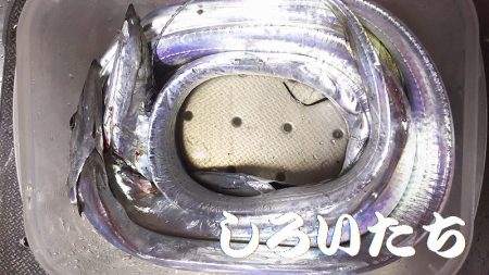 １２月タチウオ狙いに行きました。