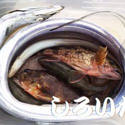 タチウオからの・・・