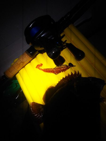 釣り納めゴムボート